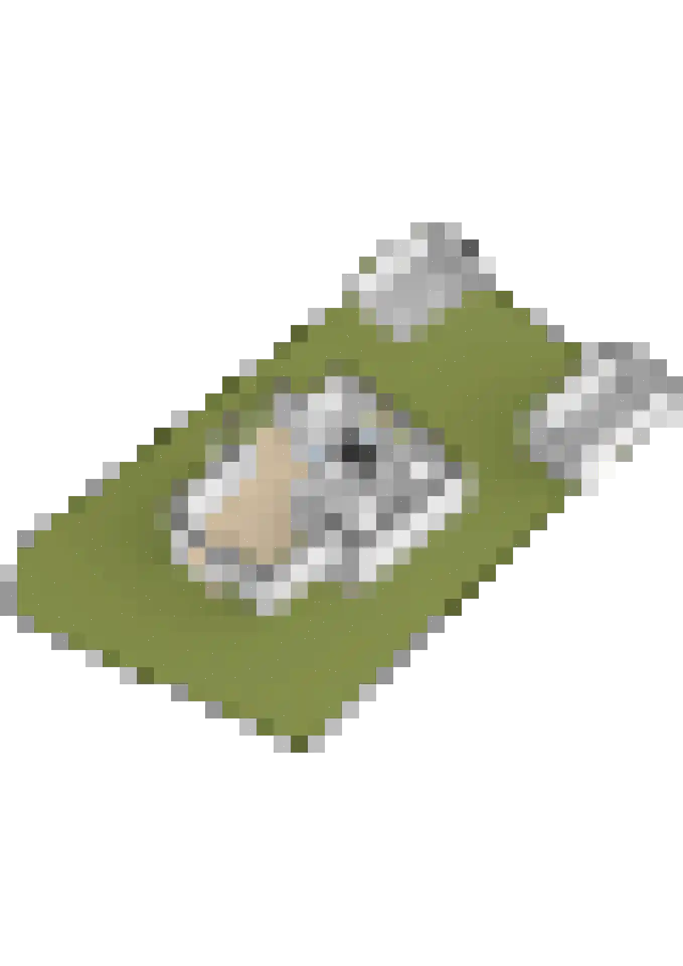 Herweg 8 Oosterhout thumbnail 64