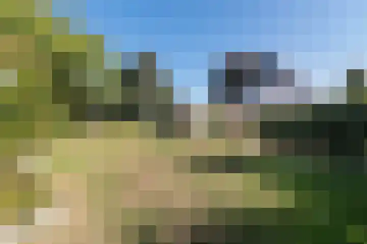 Herwendaalseweg 28 Groesbeek thumbnail 45