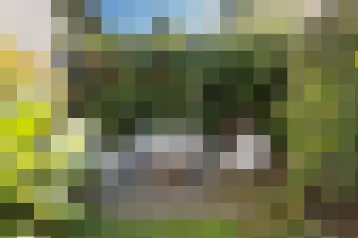 Herwendaalseweg 28 Groesbeek thumbnail 53