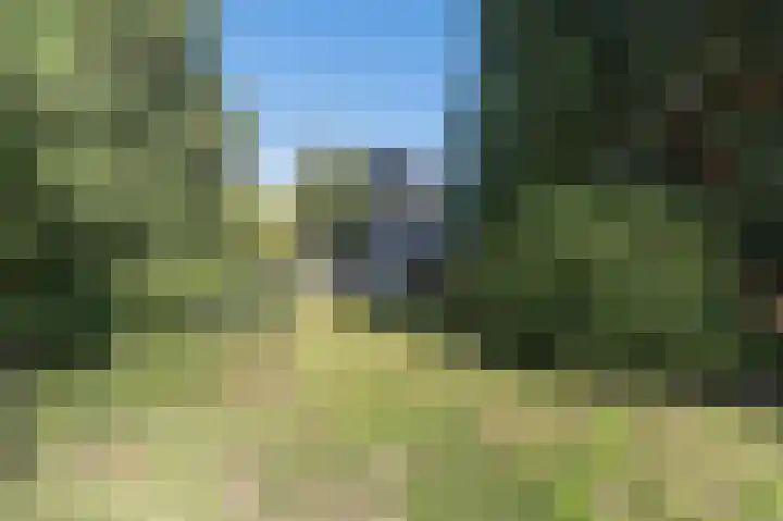 Herwendaalseweg 28 Groesbeek thumbnail 54