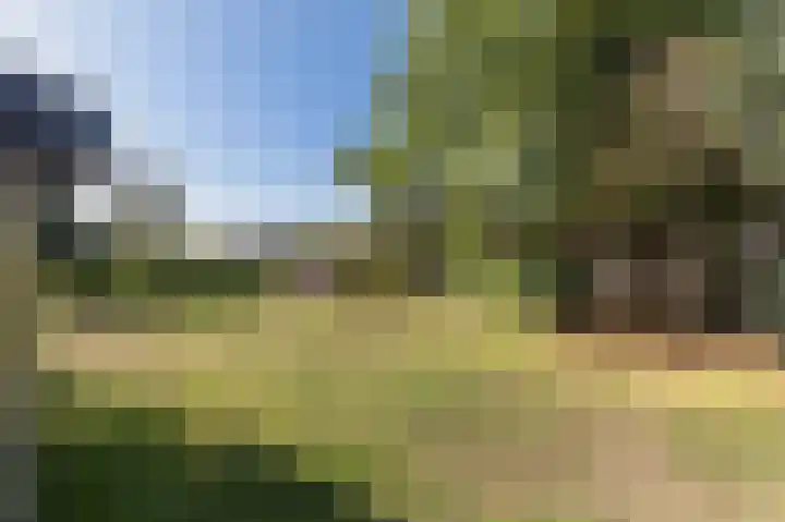 Herwendaalseweg 28 Groesbeek thumbnail 57