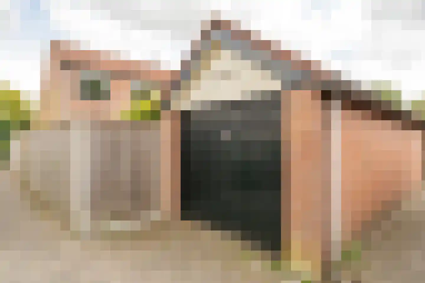 Herweystate 4 Leeuwarden thumbnail 13