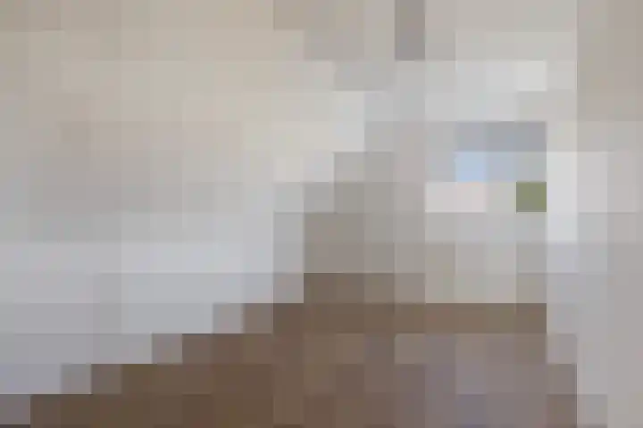Herweystate 4 Leeuwarden thumbnail 34