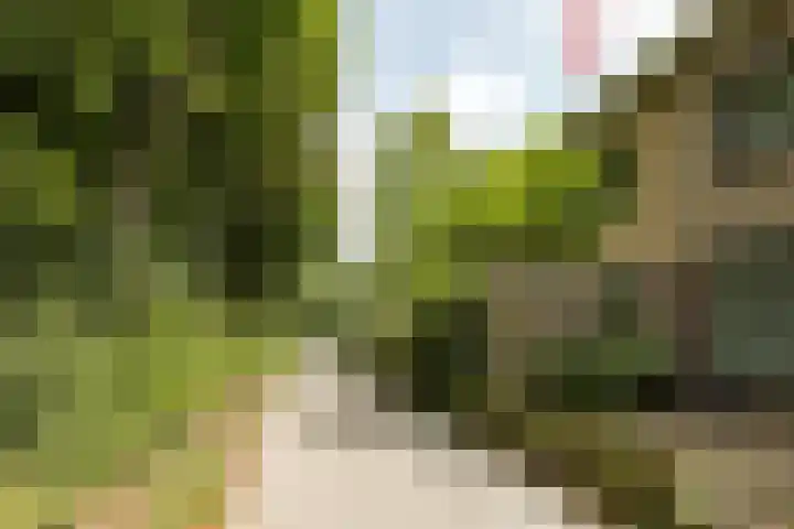 Herweystate 4 Leeuwarden thumbnail 47