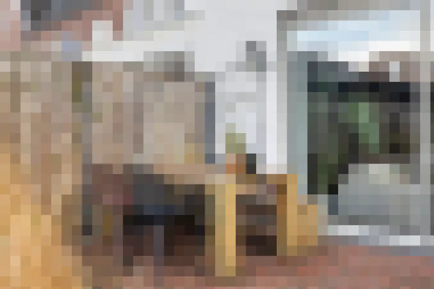 Herwijnenhof 15 Amersfoort thumbnail 20