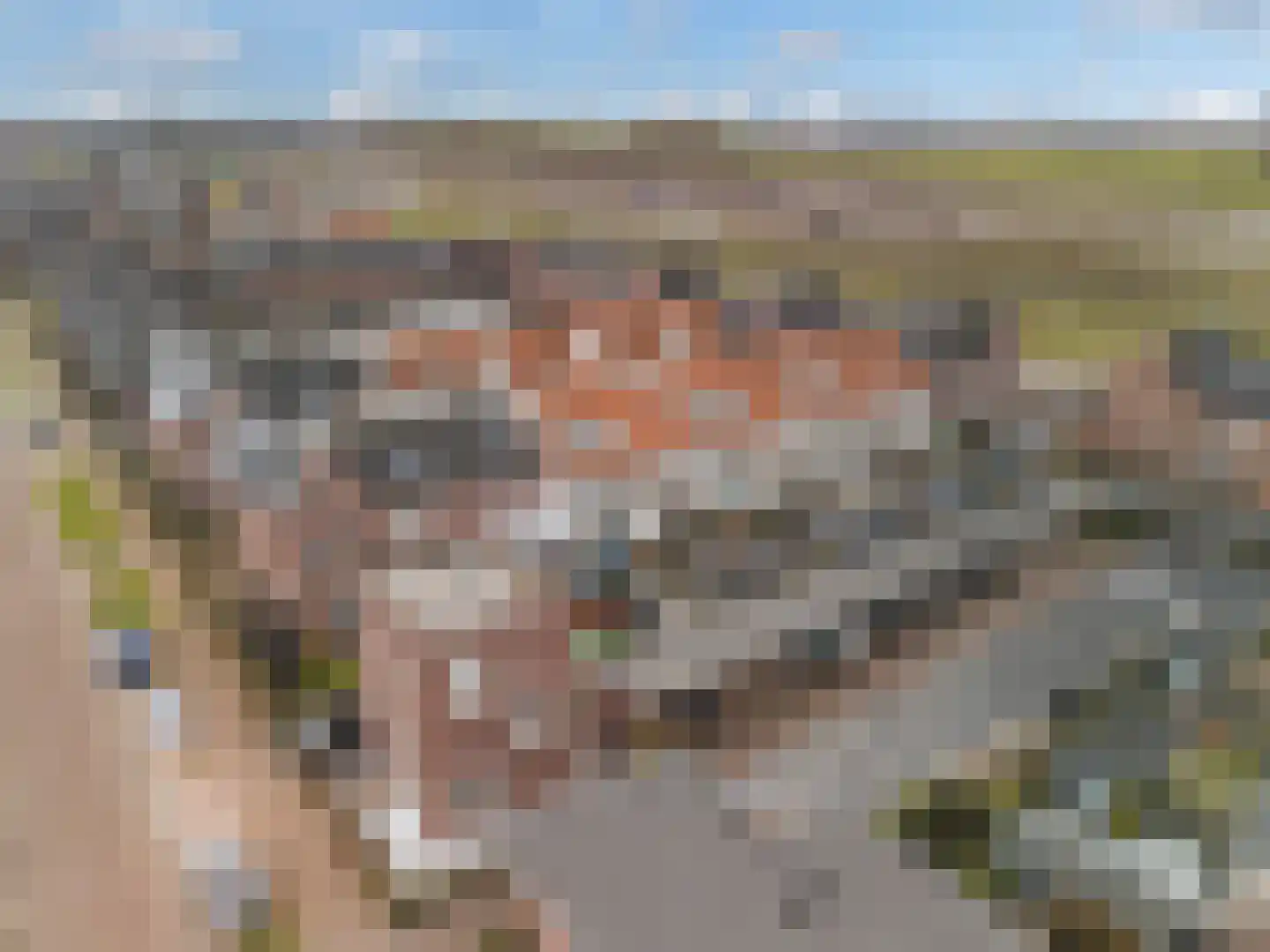 Herwijnenhof 15 Amersfoort thumbnail 23