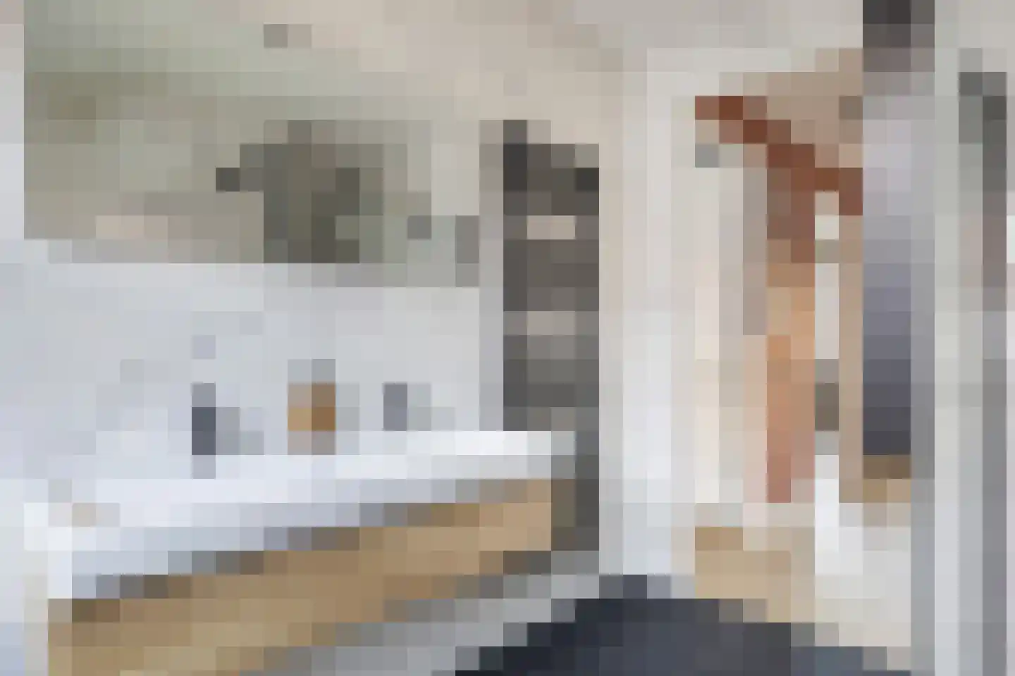 Herwijnenhof 15 Amersfoort thumbnail 31