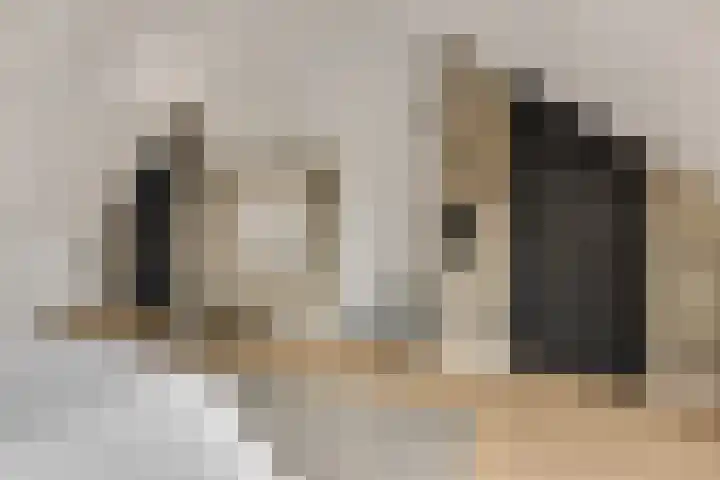 Herwijnenhof 18 Amersfoort thumbnail 32
