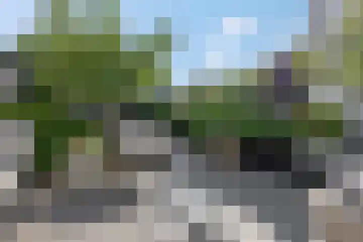 Herwijnenhof 18 Amersfoort thumbnail 34