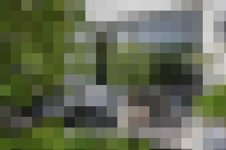 Herwijnenhof 18 Amersfoort thumbnail 36