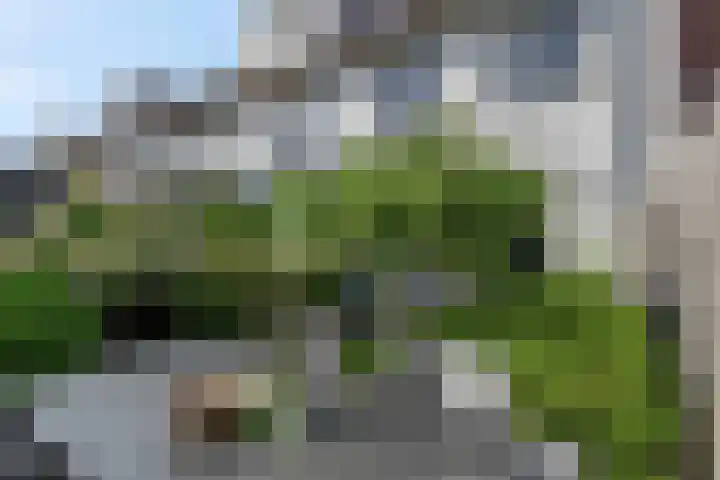 Herwijnenhof 18 Amersfoort thumbnail 38
