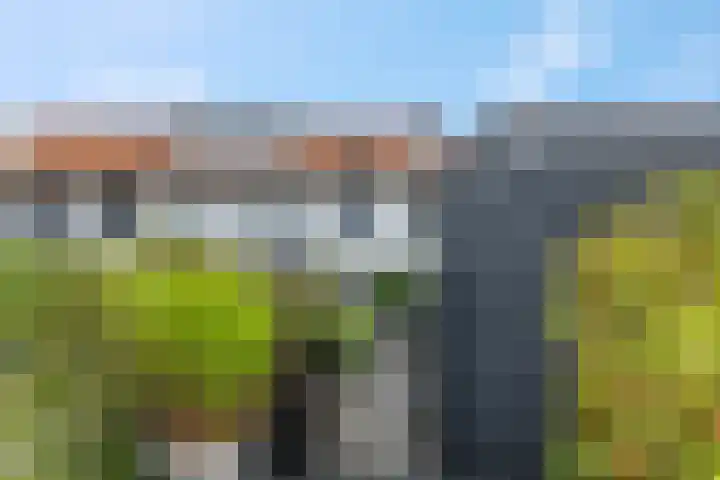 Herwijnenhof 18 Amersfoort thumbnail 43