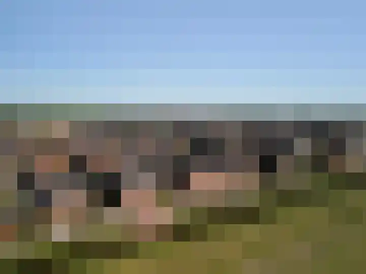 Herwijnenhof 20 Amersfoort thumbnail 47