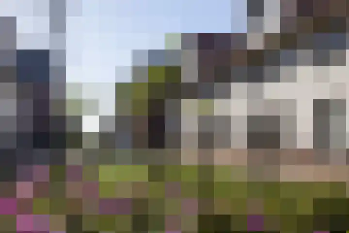 Herwijnenhof 20 Amersfoort thumbnail 5