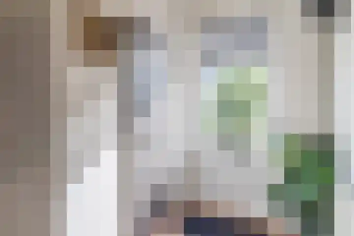 Herwijnenstraat 15 Tilburg thumbnail 17