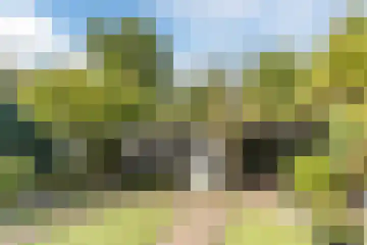 Herwijnenstraat 15 Tilburg thumbnail 31
