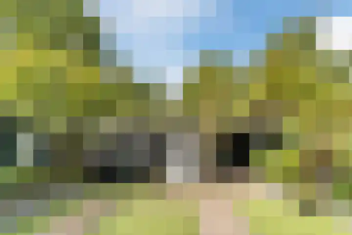 Herwijnenstraat 15 Tilburg thumbnail 33
