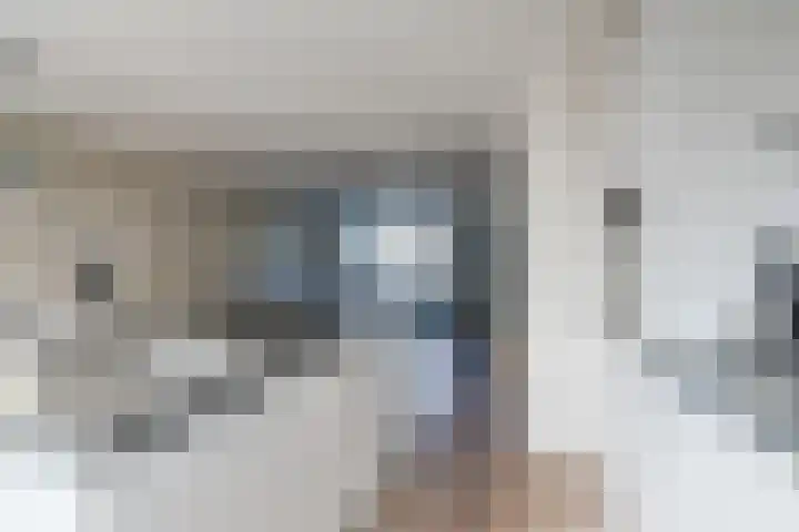 Herwijnenstraat 34 Tilburg thumbnail 16