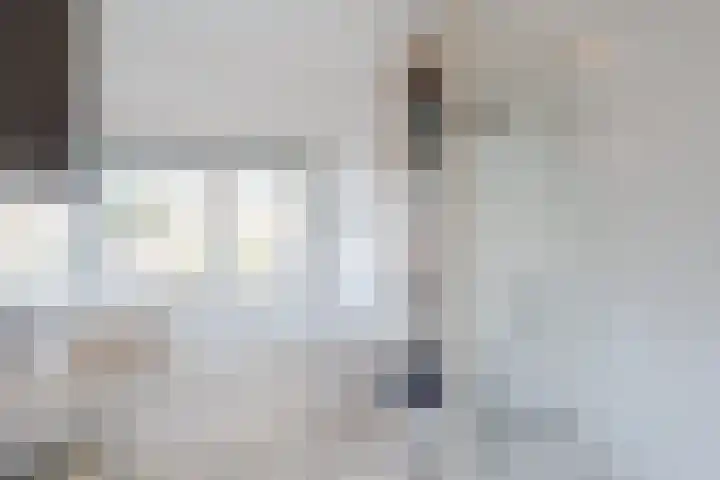 Herwijnenstraat 34 Tilburg thumbnail 23