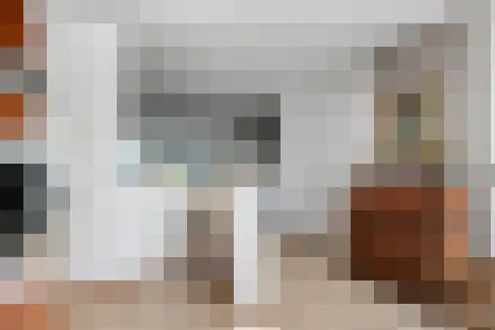 Herwijnenstraat 4 Tilburg thumbnail 10