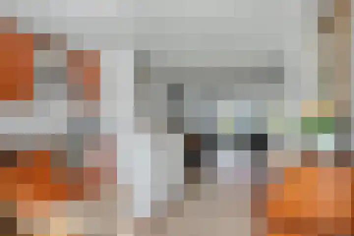 Herwijnenstraat 4 Tilburg thumbnail 12