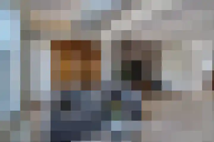 Herwijnenstraat 4 Tilburg thumbnail 19