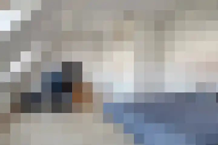 Herwijnenstraat 4 Tilburg thumbnail 33