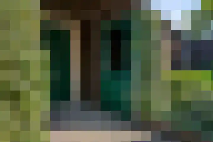Herwijnenstraat 4 Tilburg thumbnail 44