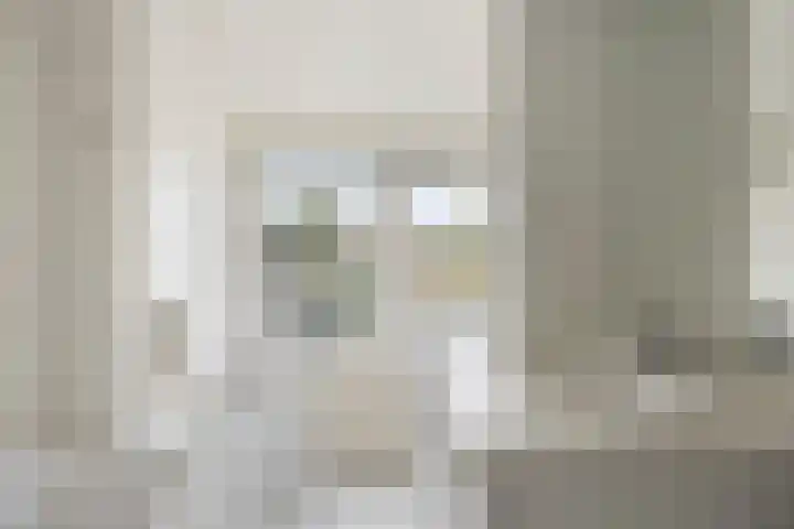 Herwijnenstraat 42 Tilburg thumbnail 19