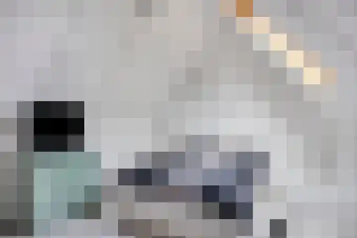 Herwijnenstraat 42 Tilburg thumbnail 22