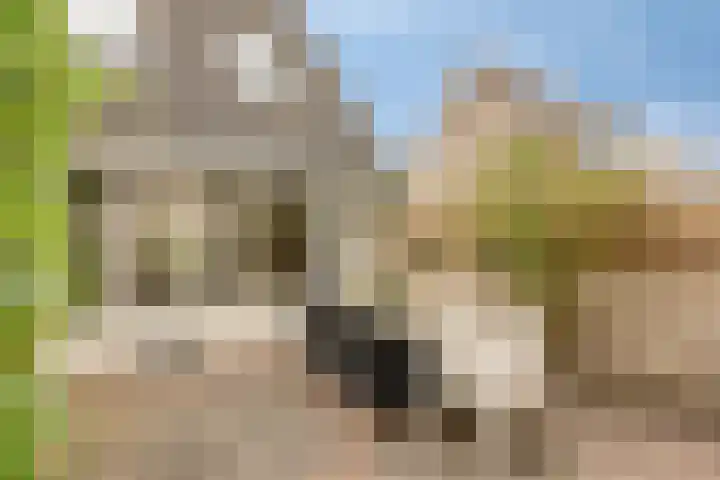 Herwijnenstraat 42 Tilburg thumbnail 27