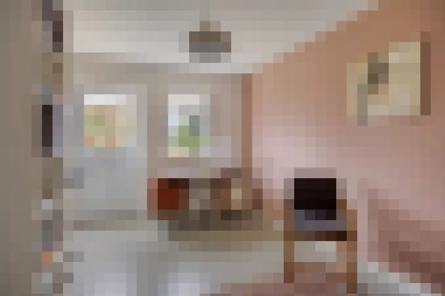Herwijnenstraat 5 Tilburg thumbnail 13