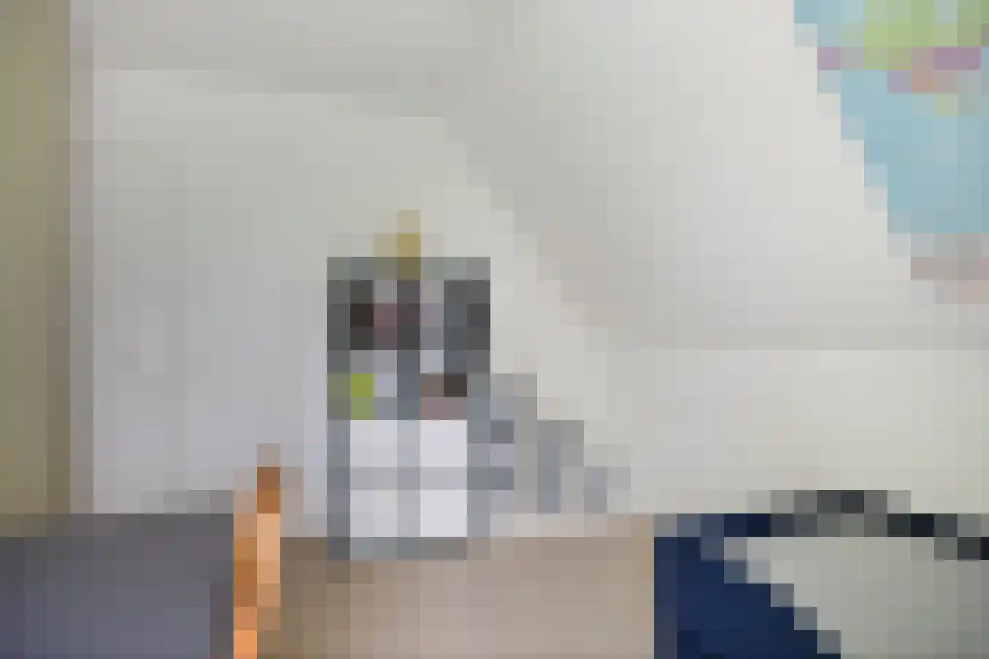Herwijnenstraat 5 Tilburg thumbnail 23