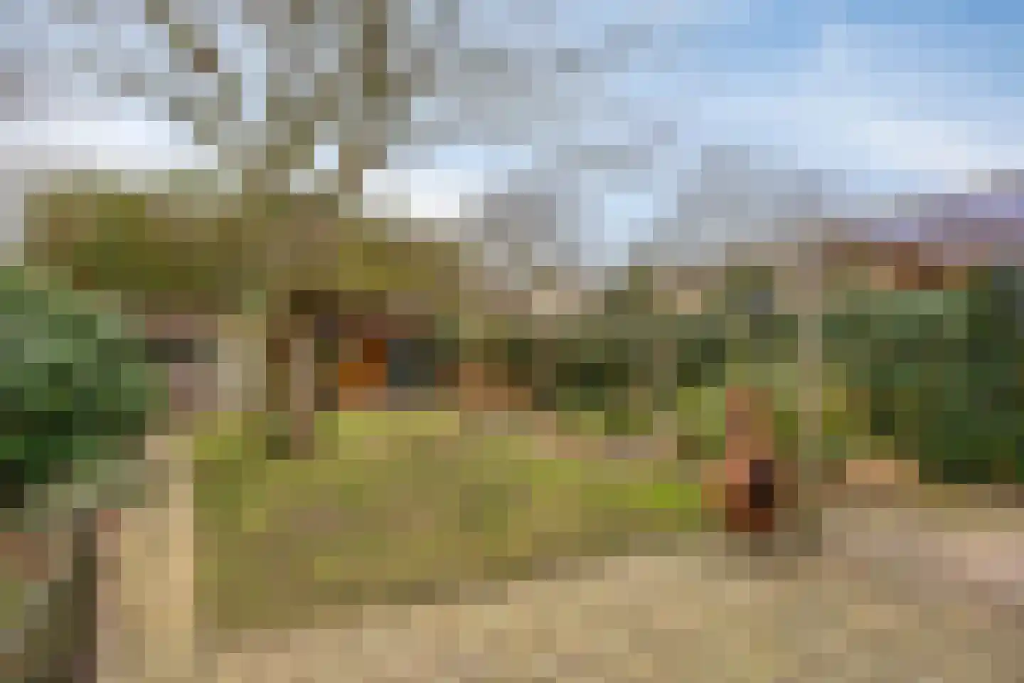 Herwijnenstraat 5 Tilburg thumbnail 27