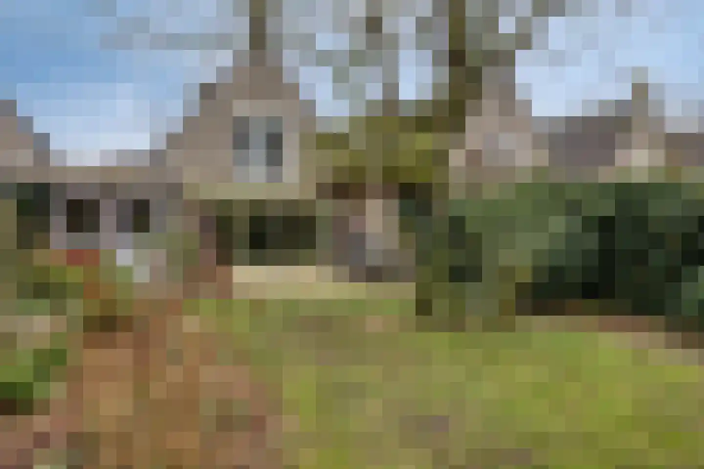 Herwijnenstraat 5 Tilburg thumbnail 30