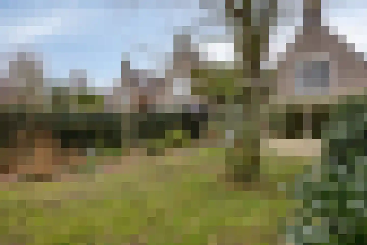 Herwijnenstraat 5 Tilburg thumbnail 32