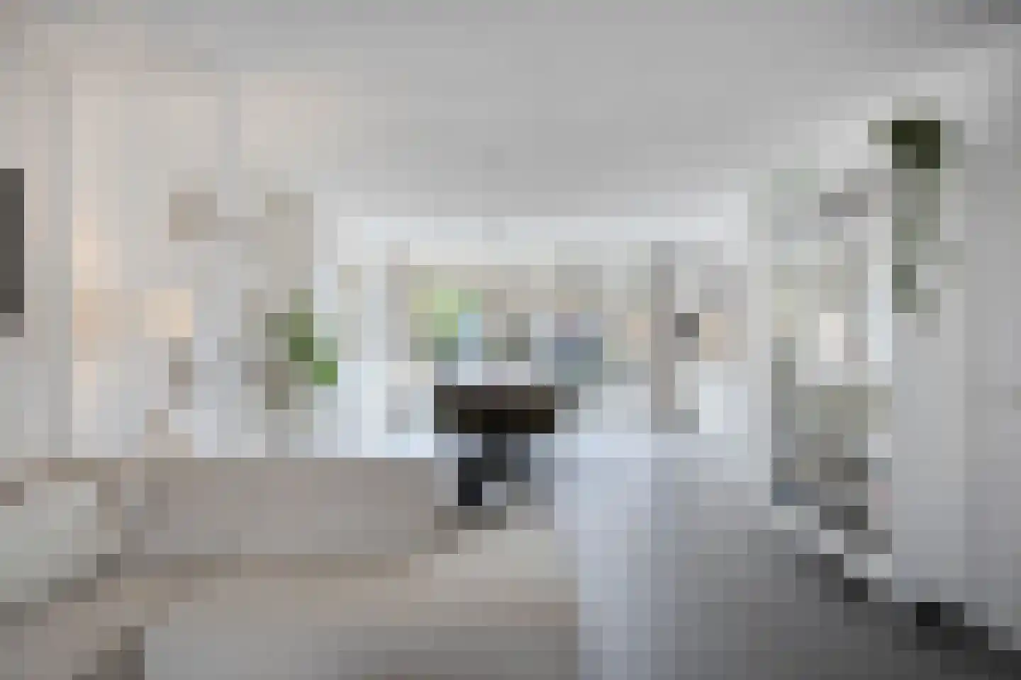 Herwijnenstraat 50 Tilburg thumbnail 17