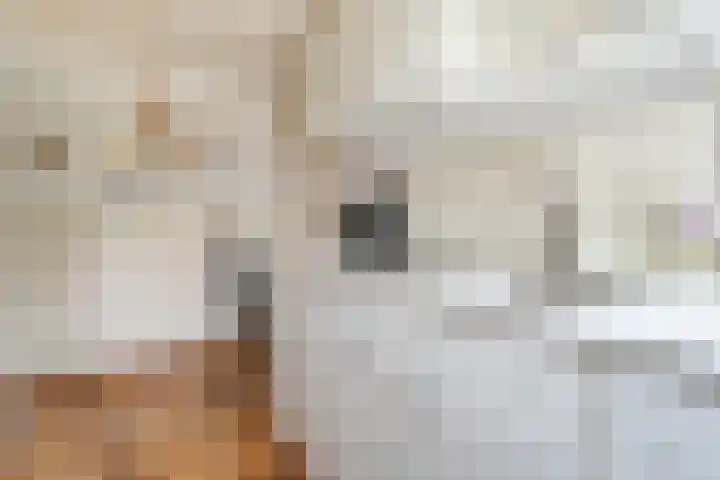 Herxen 19 Wijhe thumbnail 12