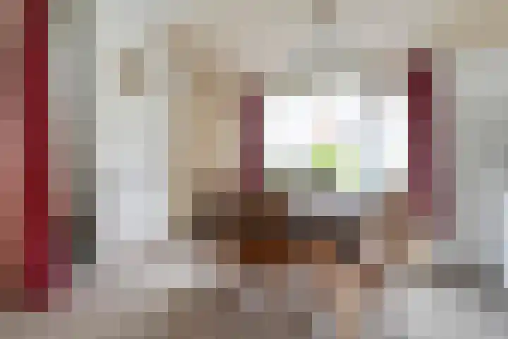 Herxen 19 Wijhe thumbnail 19