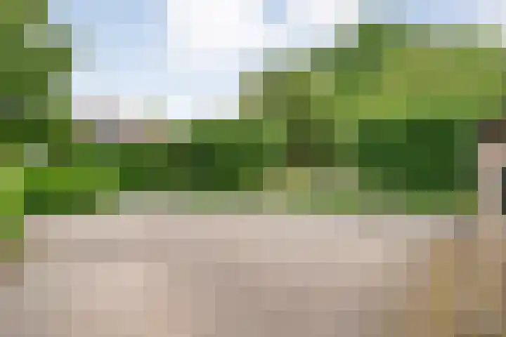 Herxen 19 Wijhe thumbnail 45