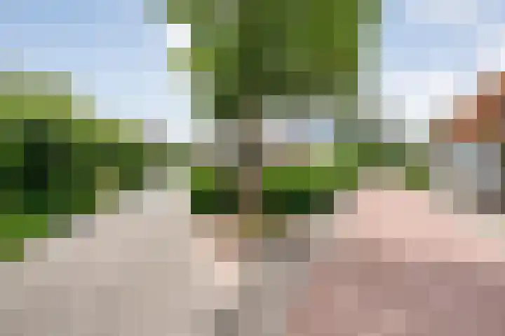 Herxen 19 Wijhe thumbnail 46