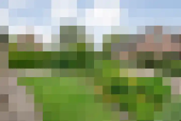 Herxen 19 Wijhe thumbnail 5