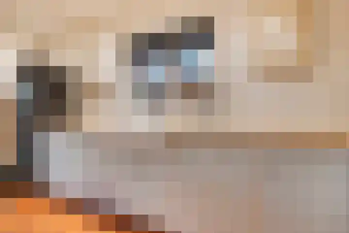 Herxen 33 Wijhe thumbnail 18