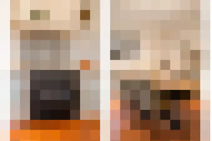 Herxen 33 Wijhe thumbnail 19