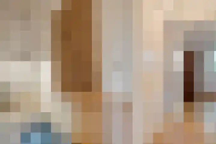 Herxen 33 Wijhe thumbnail 21
