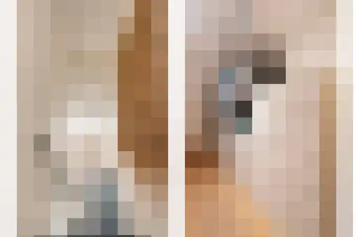 Herxen 33 Wijhe thumbnail 22