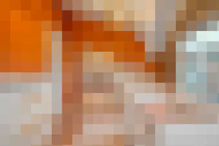 Herxen 33 Wijhe thumbnail 30