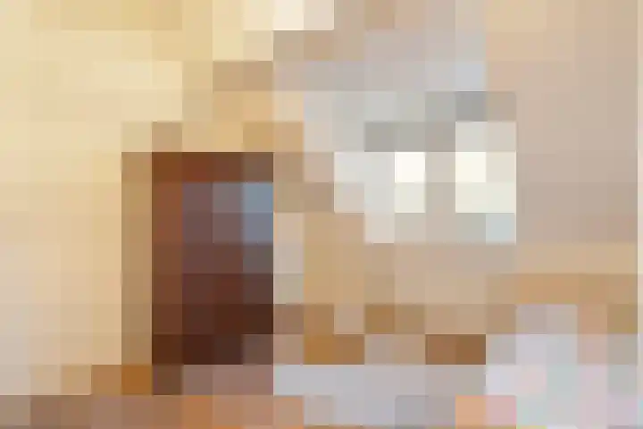 Herxen 33 Wijhe thumbnail 31