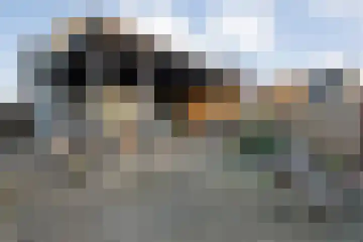 Herxen 33 Wijhe thumbnail 34