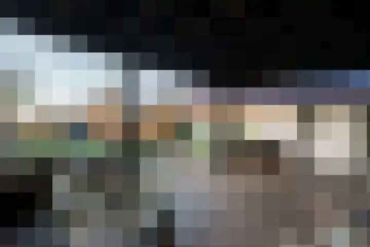Herxen 33 Wijhe thumbnail 36